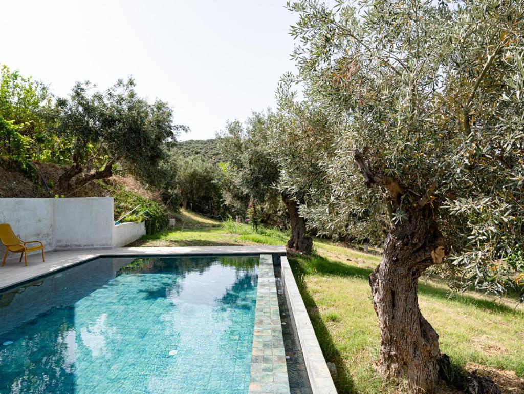 Dohos Skiathos Suites Ksanemos Buitenkant foto